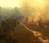 amazônia pegando fogo