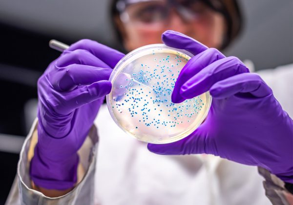 Foto em detalhe das mãos de uma cientista com luvas e mexendo em uma placa de petri. Nela, há uma substância transparente, com diversos pontinhos azuis