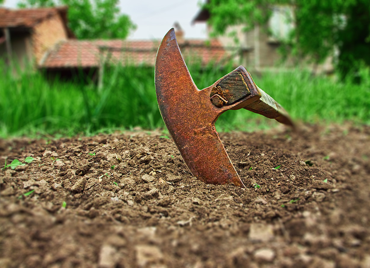 Imagem em destaque de uma enxada em um terreno. Ao fundo, há um trecho com grama bem verde.(crédito: oboltus – iStock)