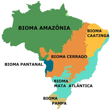 biomas do brasil