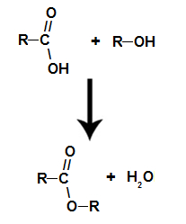 Equação química que representa a formação de um éster