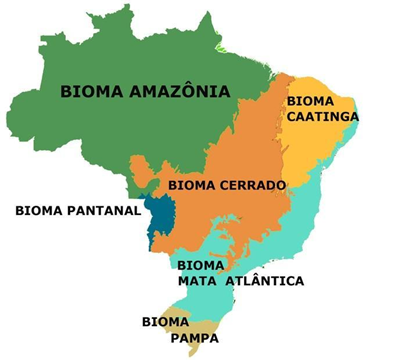 biomas do brasil