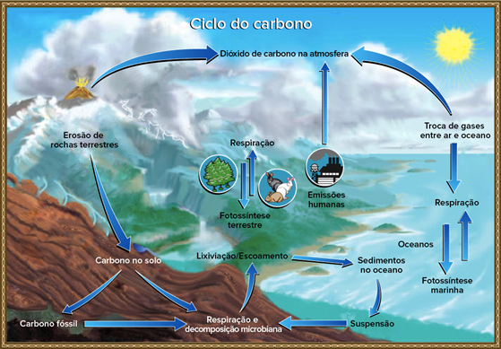 Aula 6 - Ações mitigatórias da interferência humana nos ciclos  biogeoquímicos - Biologia