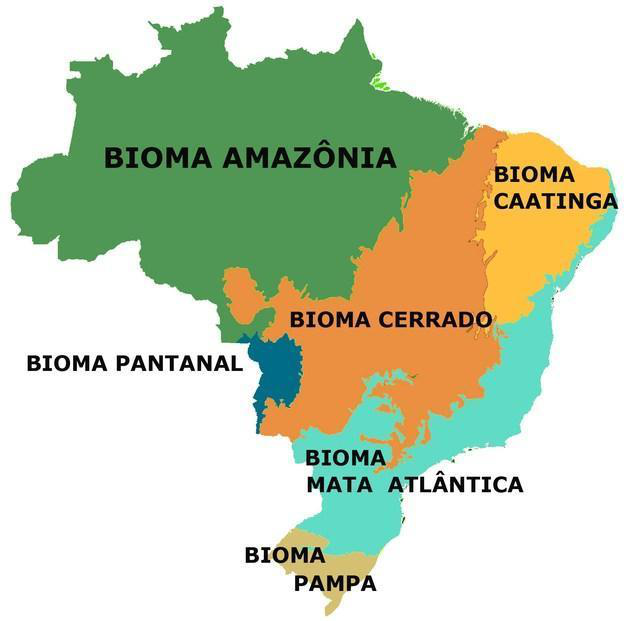 Biomas brasileiros