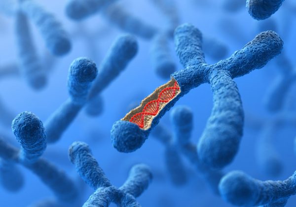 genética-cromossomos-x-y