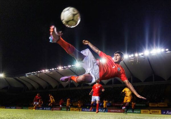 Imagem em Destaque