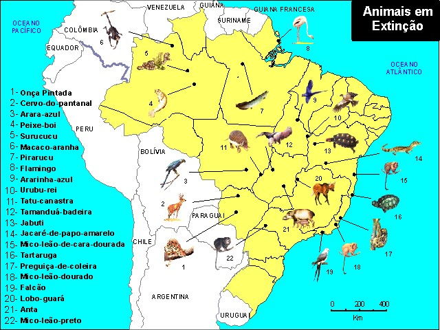 Animais em extinção: no Brasil e no mundo - Mundo Educação